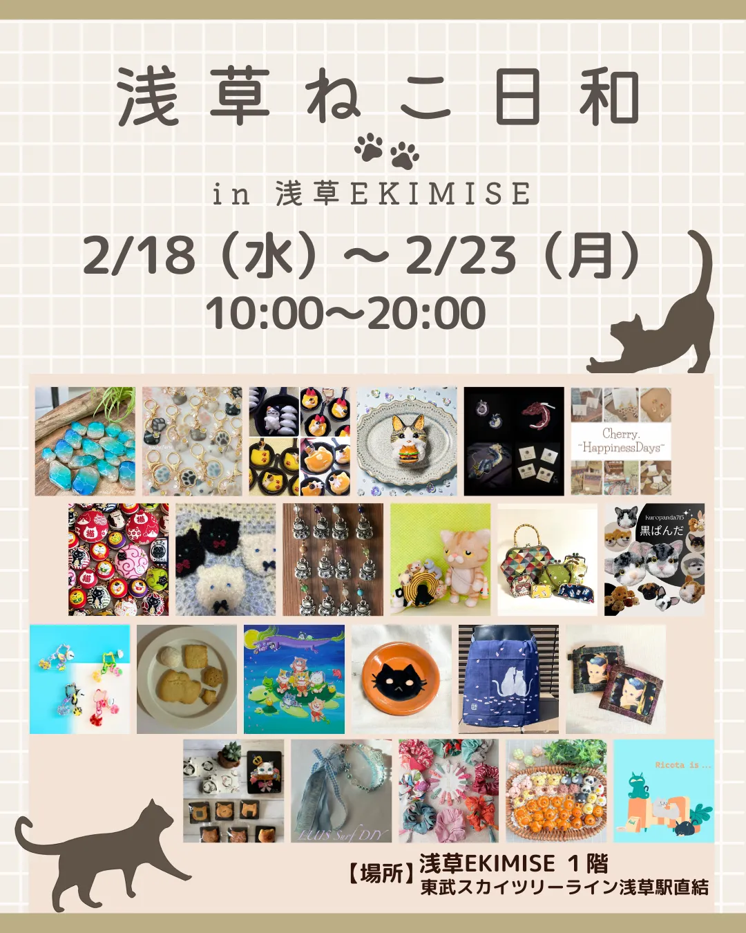 🐾 浅草ねこ日和 in 浅草EKIMISE 🐾